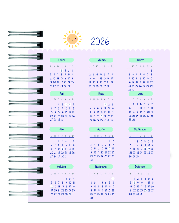 Agenda Educadora Diferencial  3