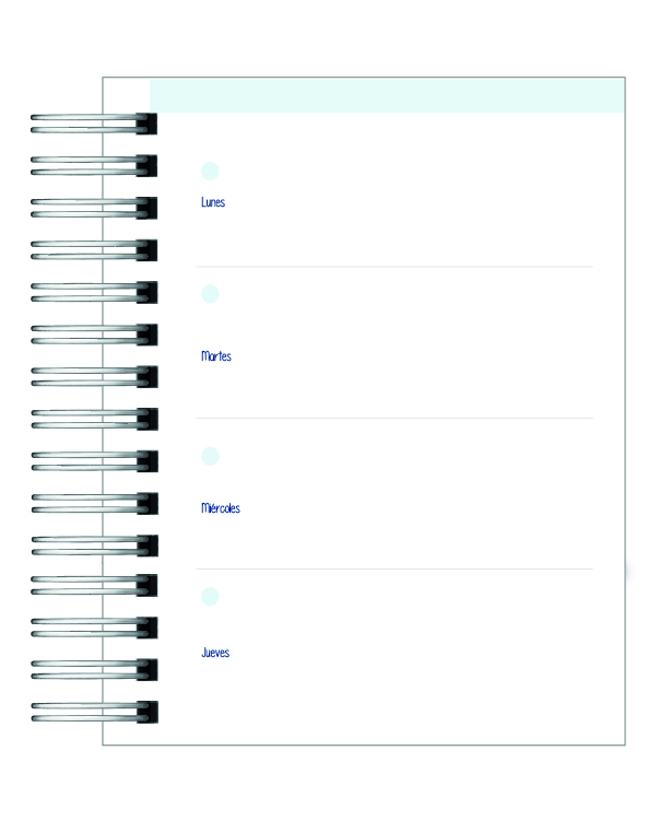 Agenda Educadora Diferencial  11