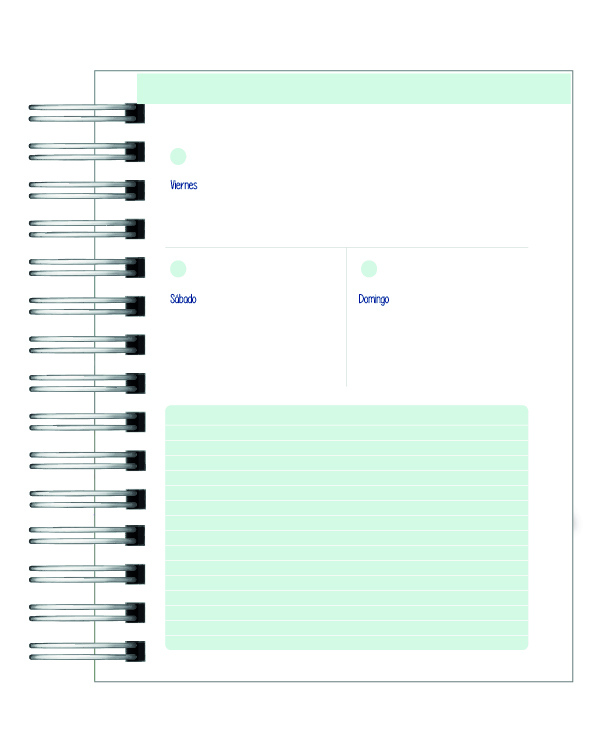 Agenda Psicopedagoga  11