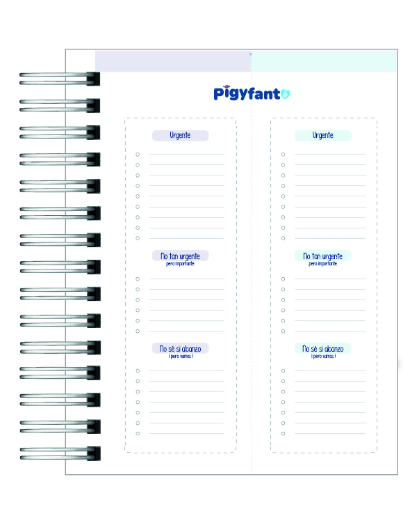 Agenda Psicopedagoga  13