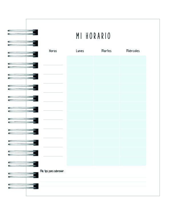 Planificador Docentes 9