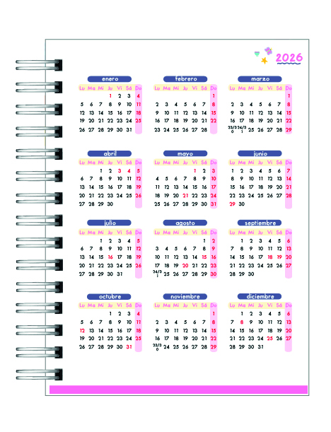 Agenda Educadora Diferencial 2026 3