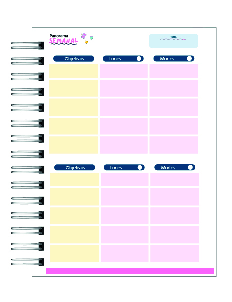 Agenda Educadora Diferencial 2026 8