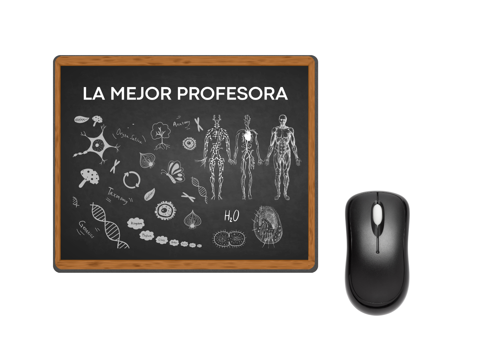 Mouse Pad Edición Profesores 4