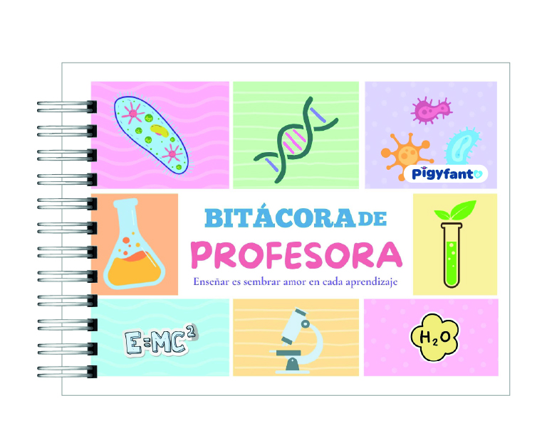 Bitacora de Profe 5