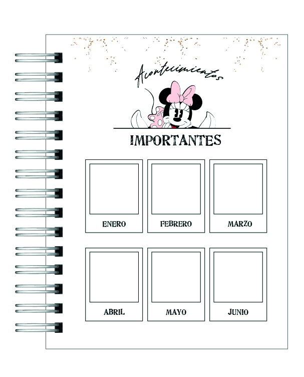 Agenda 100 años disney minnie 2026 5