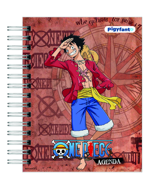 Agenda One Piece 13