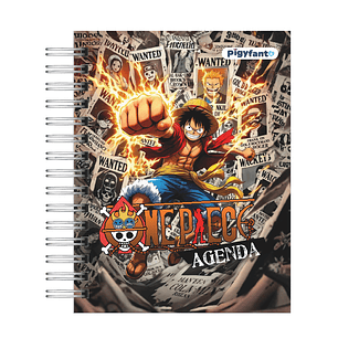 Agenda One Piece