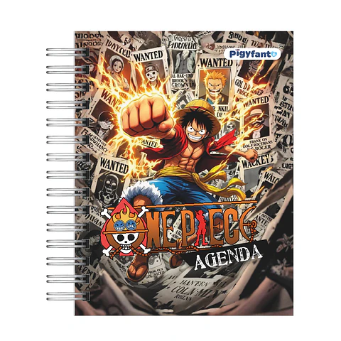 Agenda One Piece