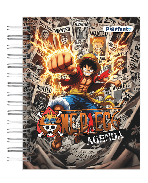Agenda One Piece