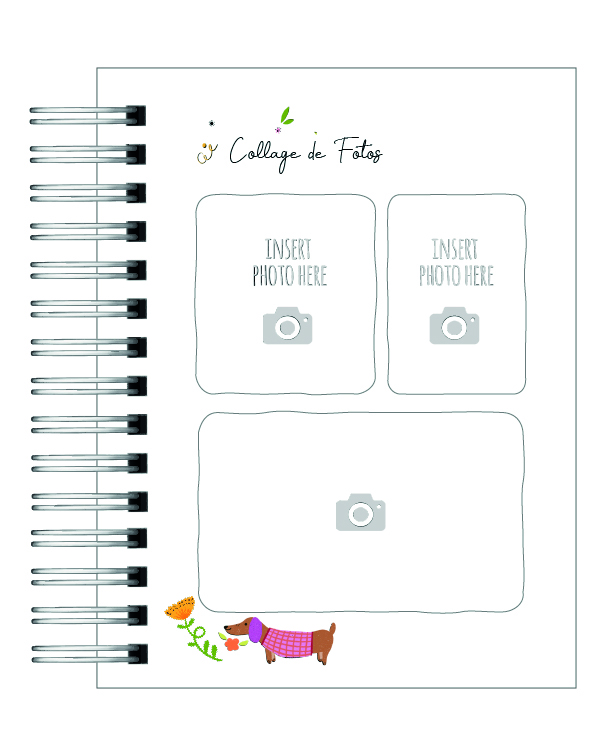 Control Veterinario  3