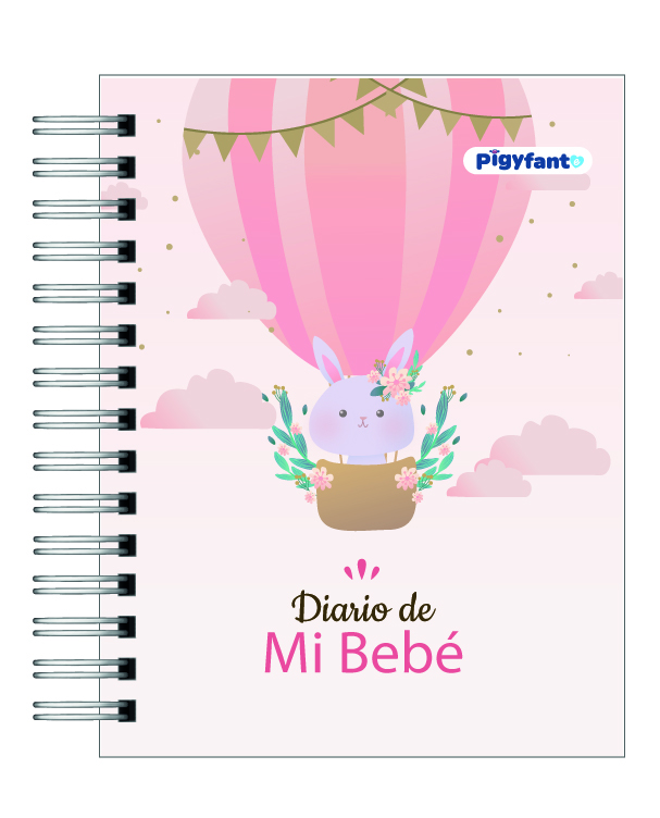 Diario de mi Bebé 19