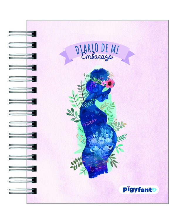 Diario de Embarazo 13