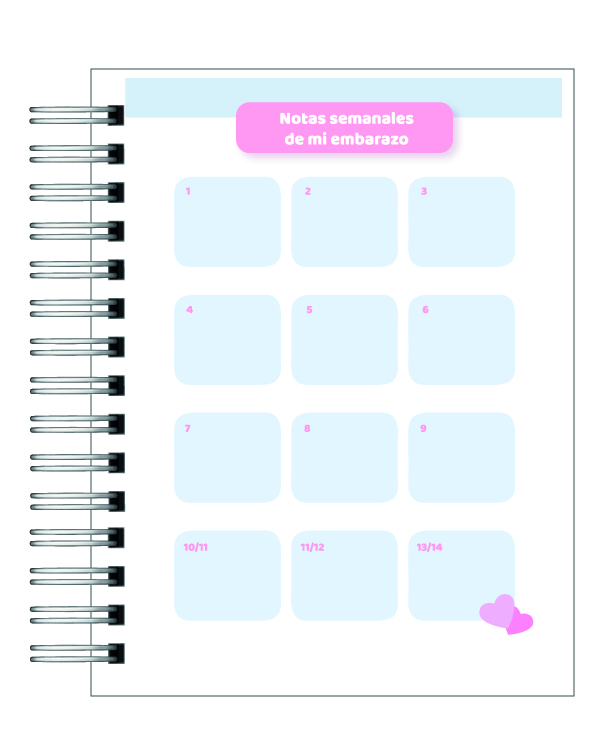 Diario de Embarazo 6