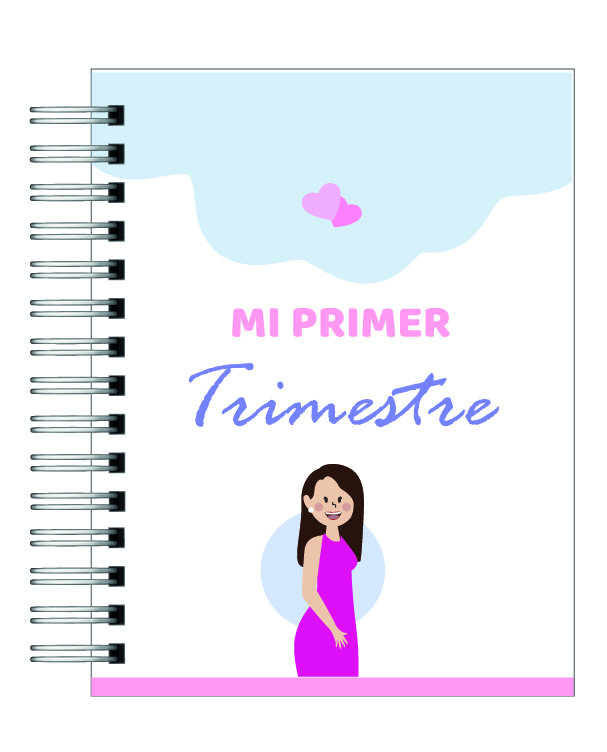 Diario de Embarazo 5