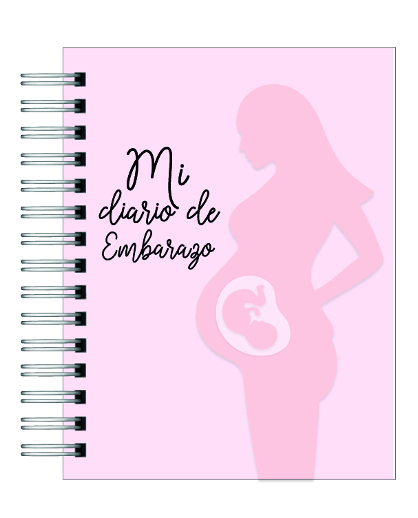 Diario de Embarazo 2
