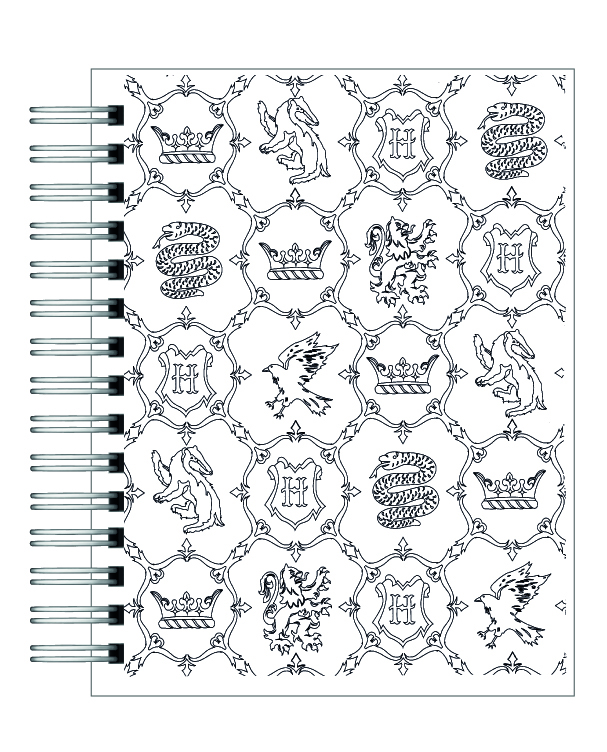 Libro para colorear Harry Potter y su mundo mágico 4