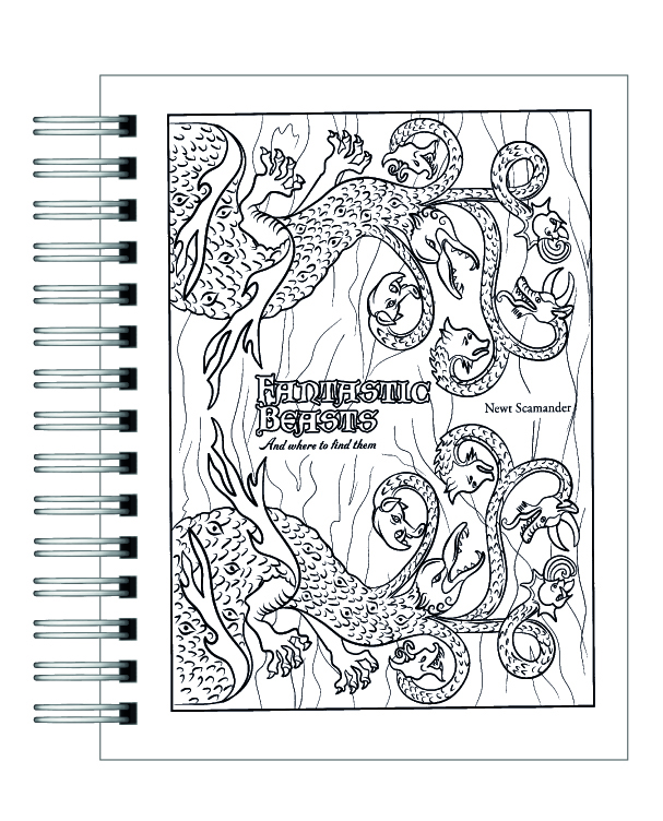 Libro para colorear Harry Potter y sus Artefactos Mágicos 3