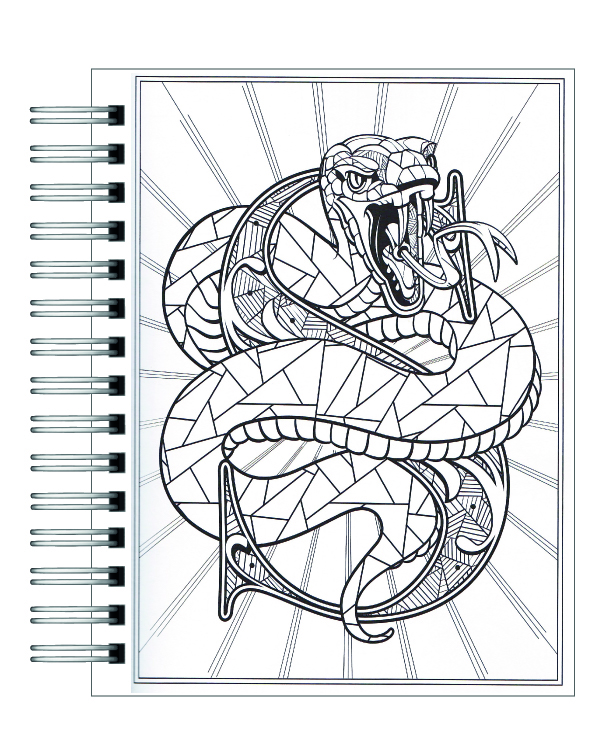 Libro para colorear Harry Potter El Orgullo De La Casa Slytherin 2