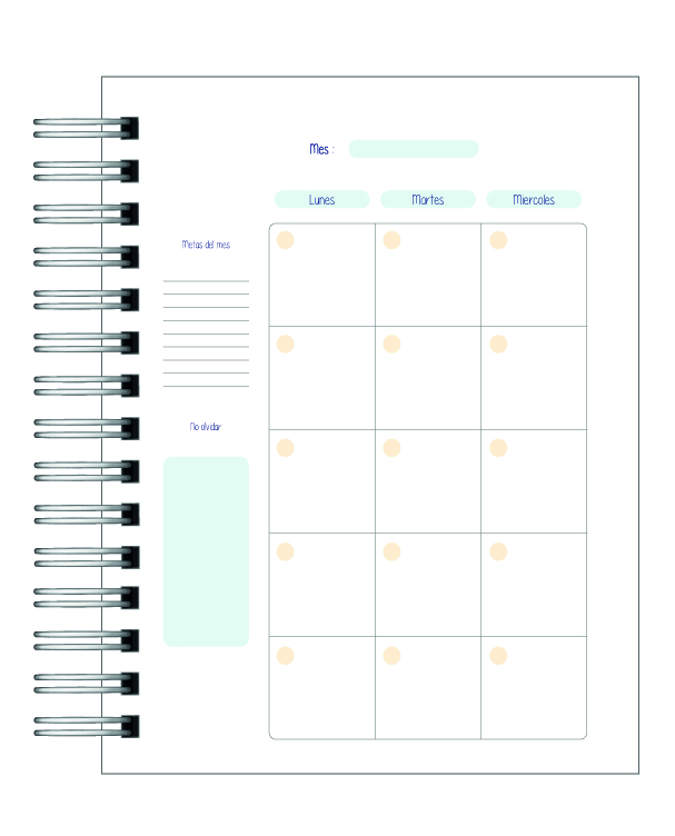 Agenda Kinesiología 12