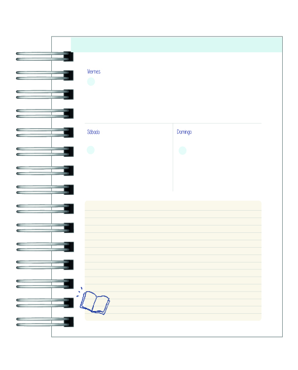 Agenda Ingeniería 11