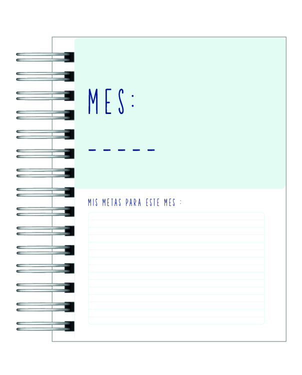 Agenda Contador Auditor 8