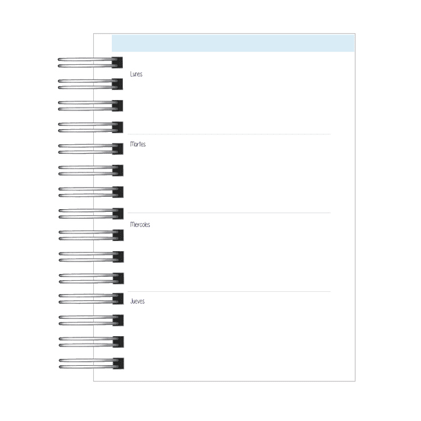Agenda Enfermera  10