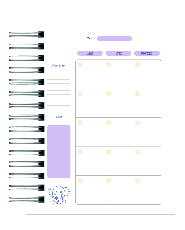 Agenda Nutricionista 2026 11