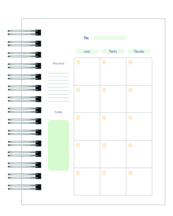 Agenda Terapia Ocupacional 11