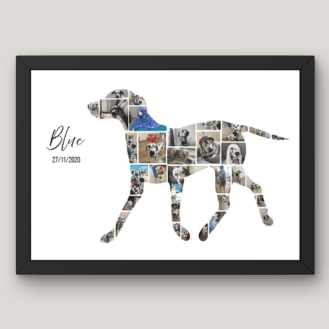 Cuadro Silueta Collage Perro