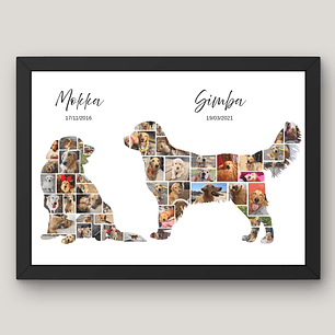 Cuadro Silueta Collage Mascota Personalizado