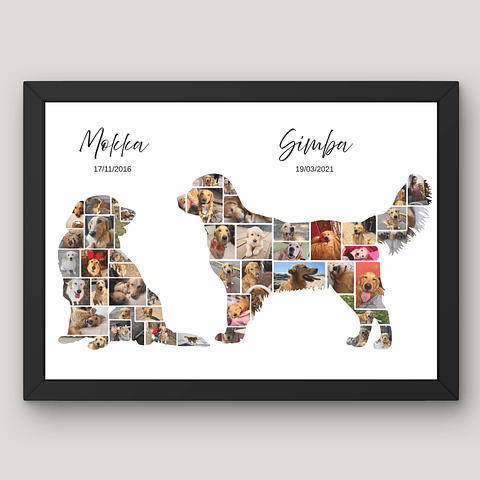Cuadro Silueta Collage Mascota Personalizado