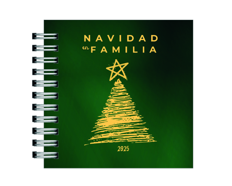Álbum de Navidad en Familia 11