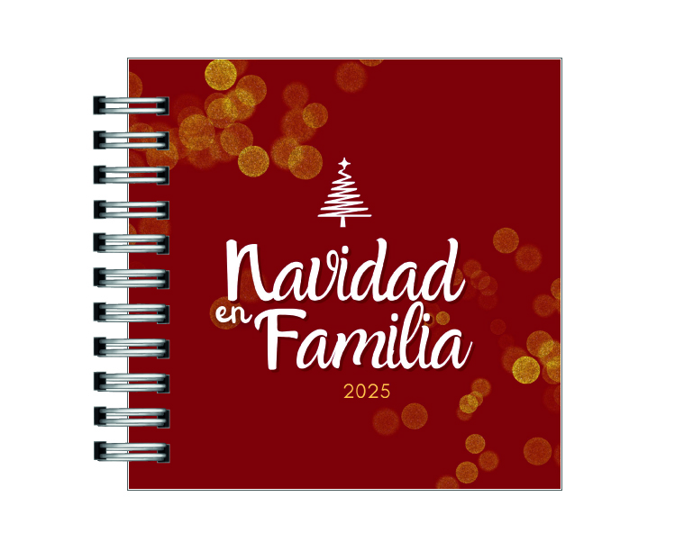 Álbum de Navidad en Familia 12