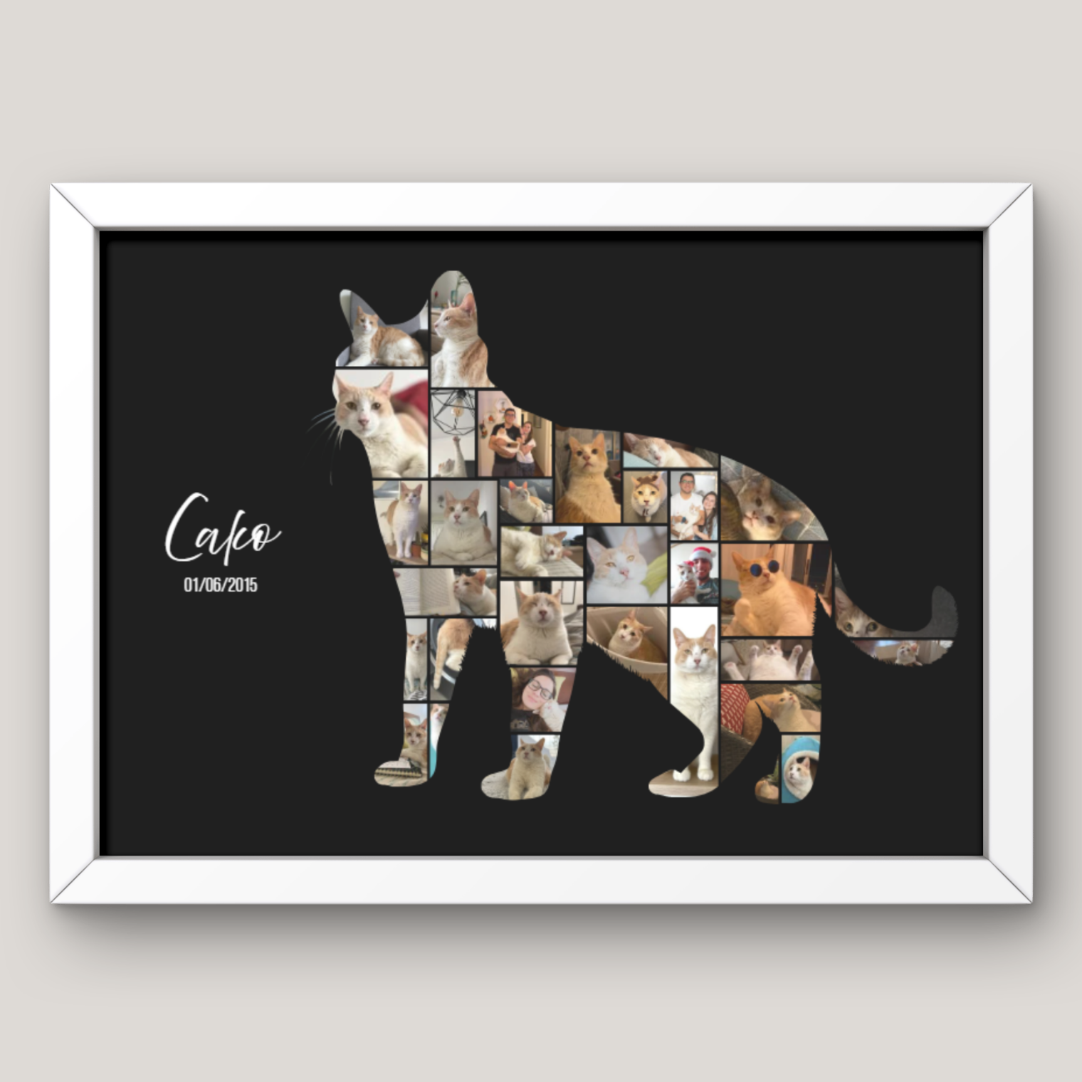 Cuadro Silueta Collage Gato 2