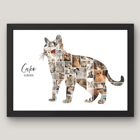 Cuadro Silueta Collage Gato