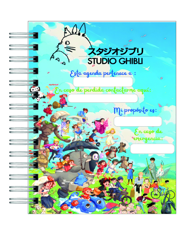 Agenda Estudio Ghipsi 2026 2