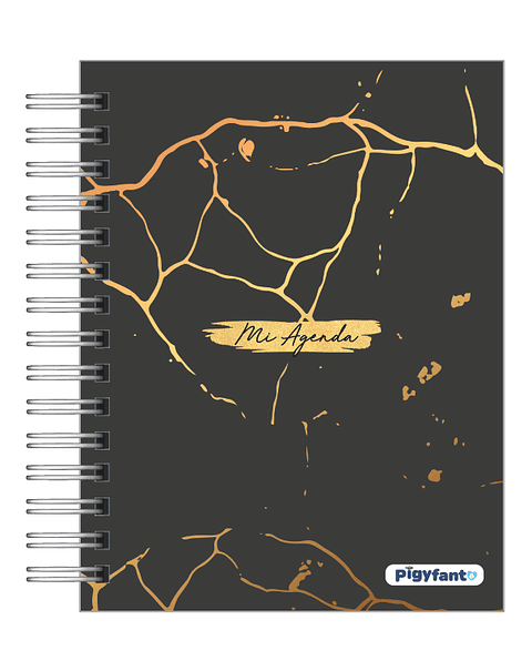 Agenda Ejecutiva 2026