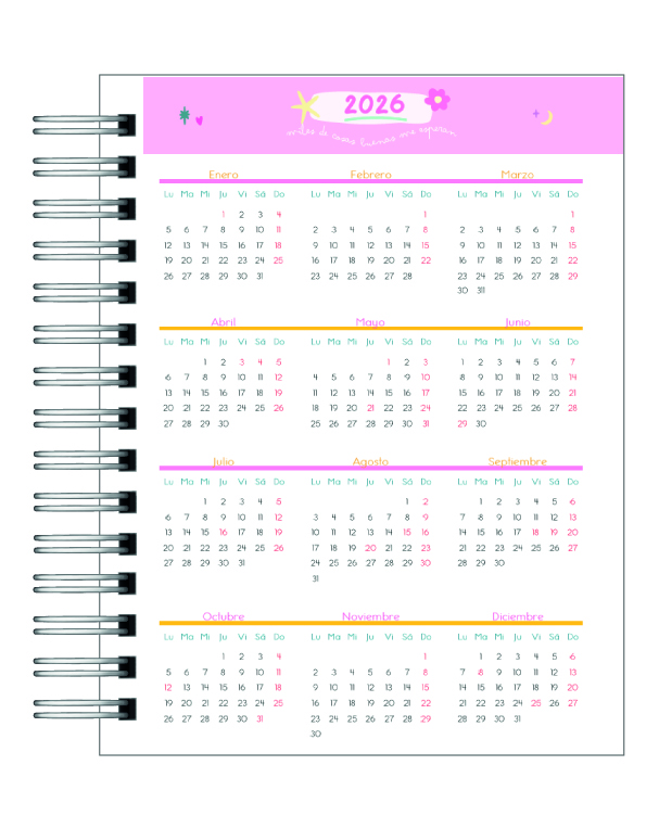PLANNER FIT 2026 4
