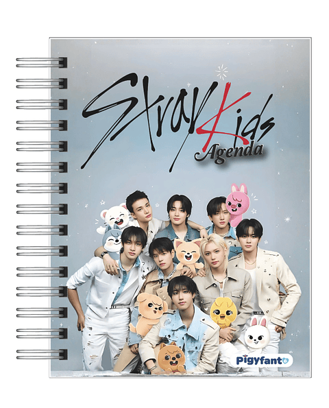 Agenda Stray kids 2026