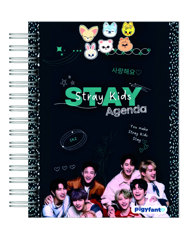 Agenda Stray kids 2026 12