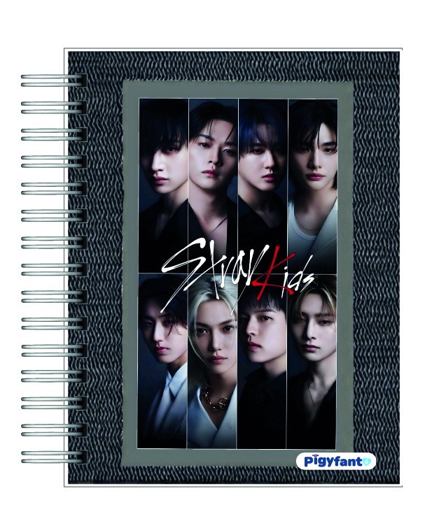 Agenda Stray kids 2026 13