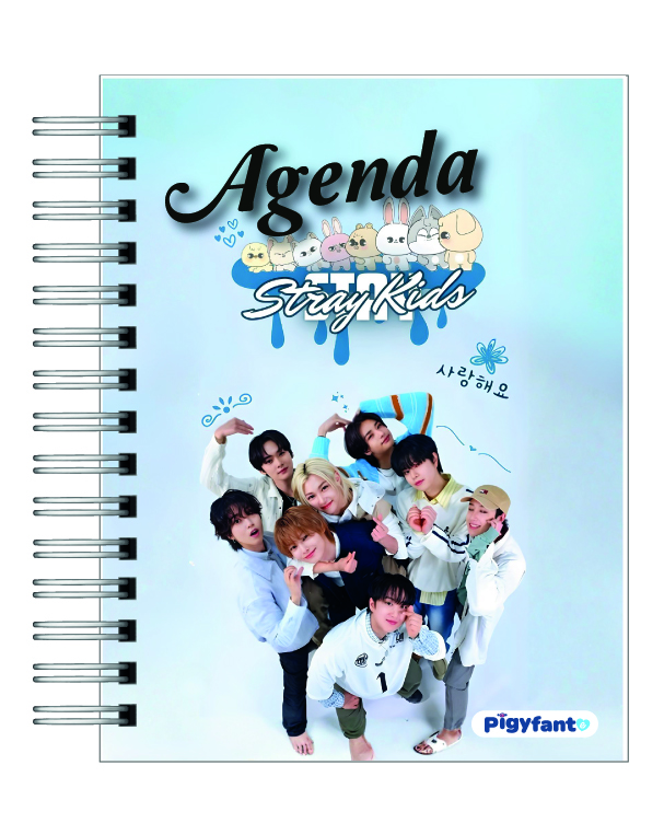 Agenda Stray kids 2026 14