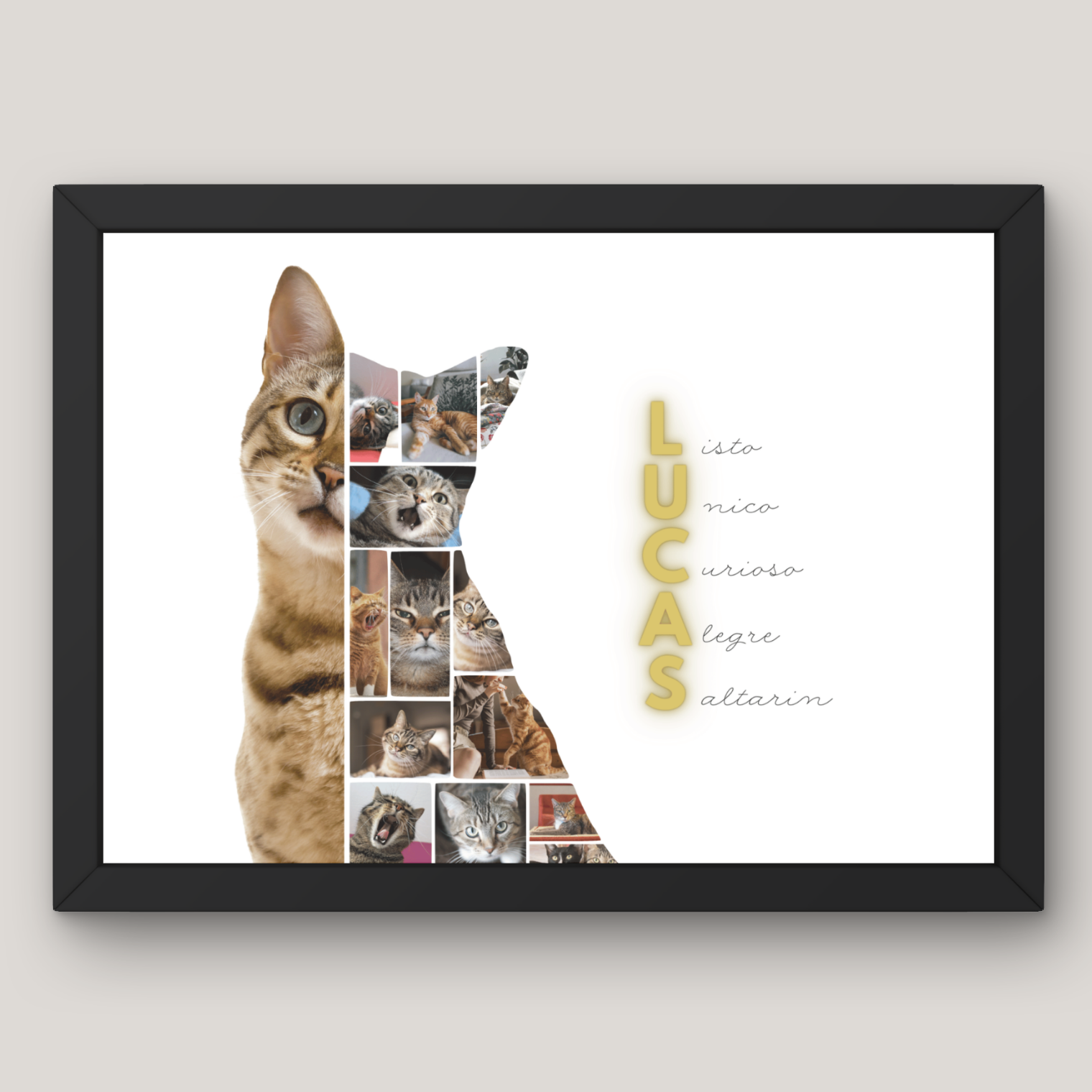 Cuadro Media Silueta Collage Mascota Personalizado 5