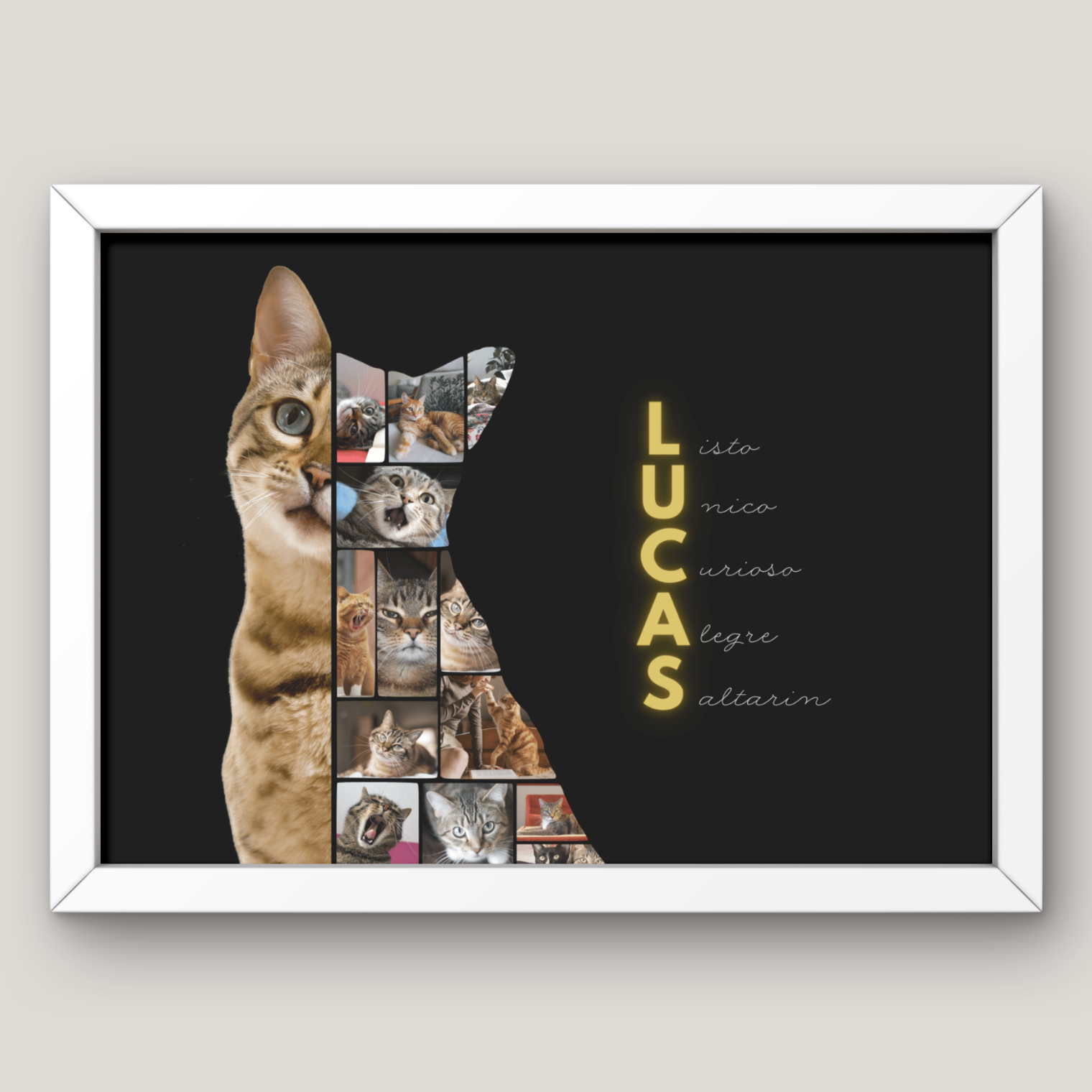 Cuadro Media Silueta Collage Mascota Personalizado 6