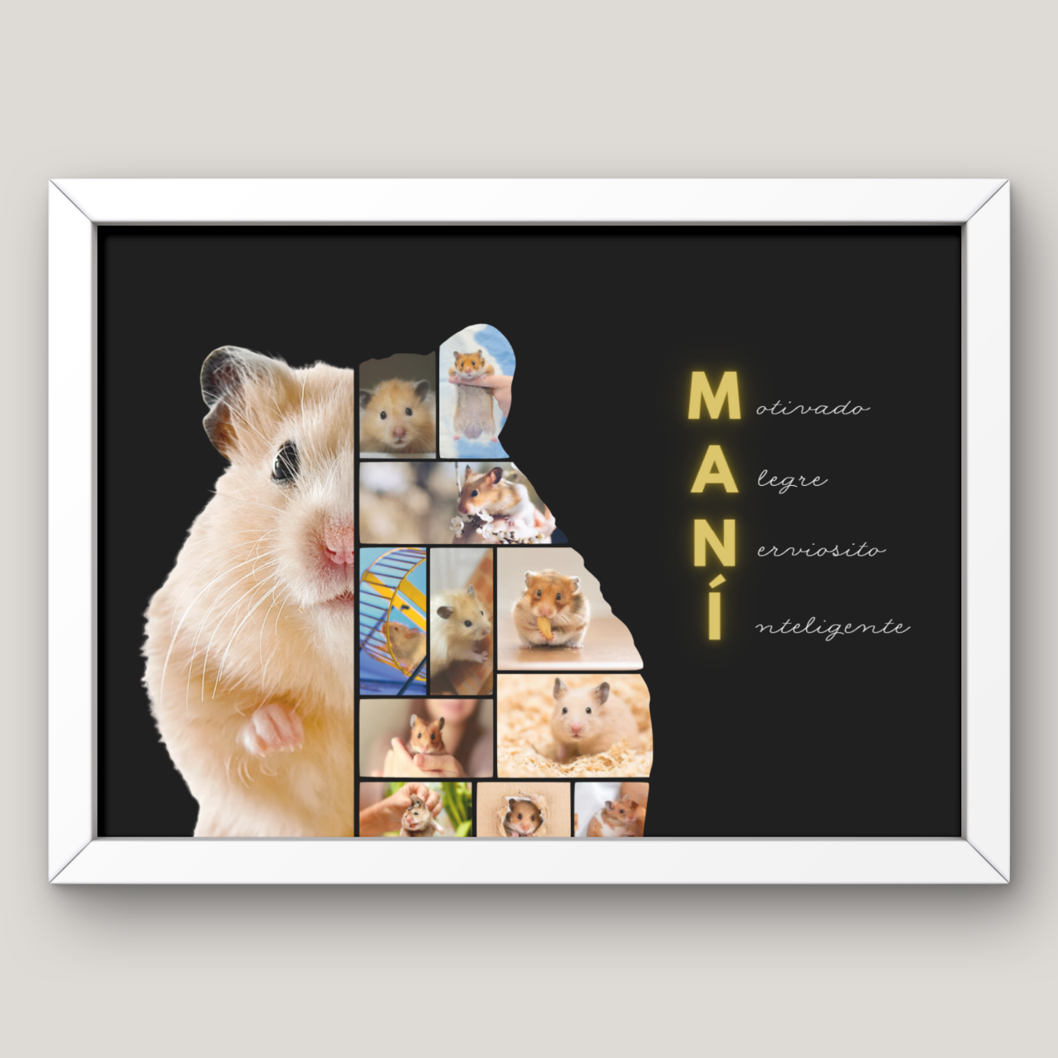 Cuadro Media Silueta Collage Mascota Personalizado 2