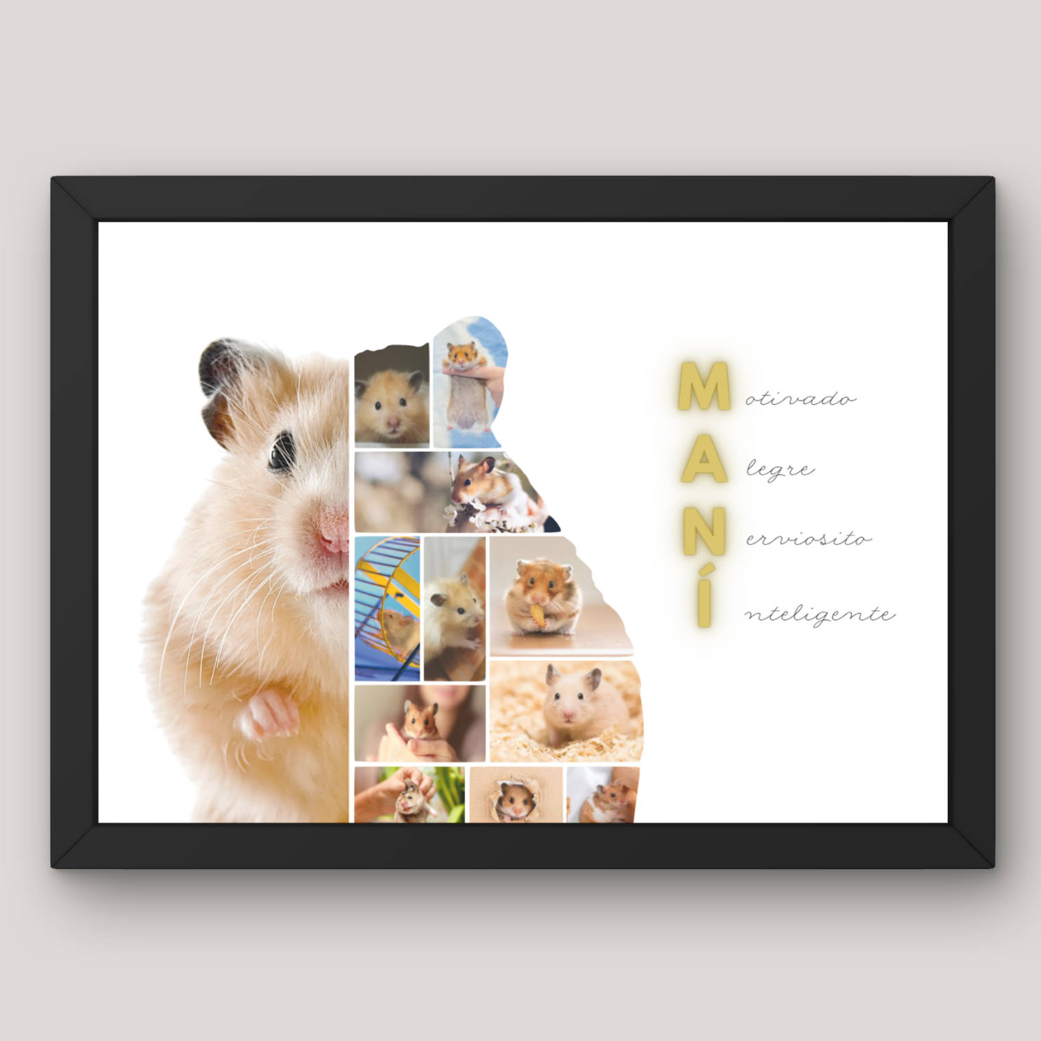 Cuadro Media Silueta Collage Mascota Personalizado 1