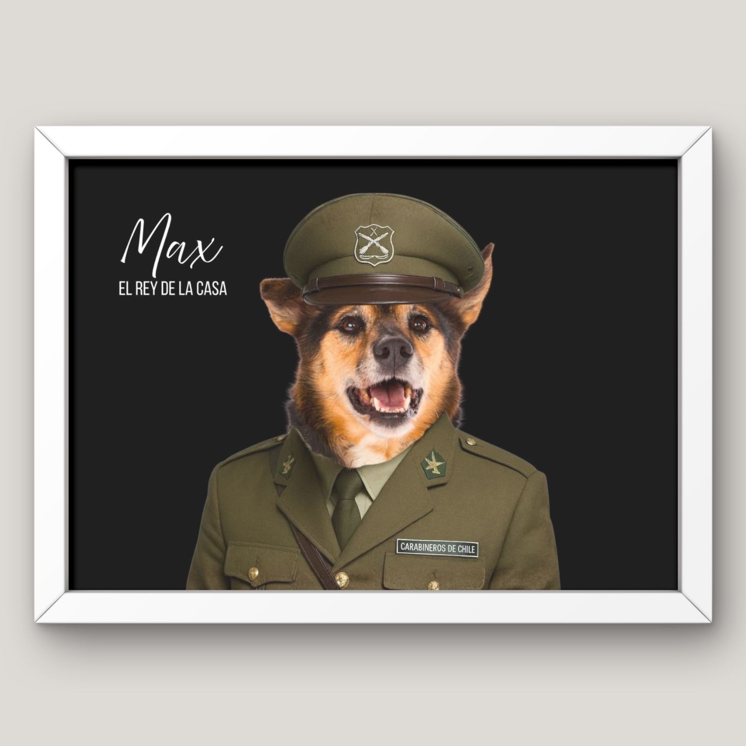 Cuadros Divertidos y Reales de tu Mascota 16