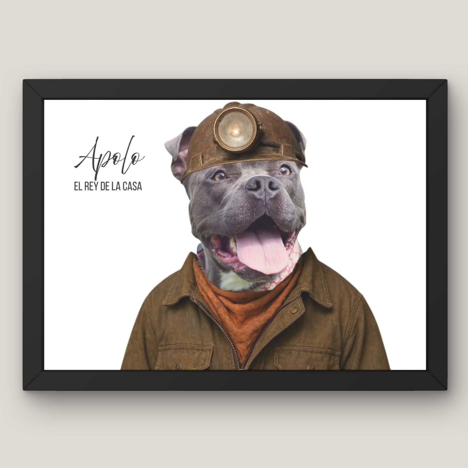 Cuadros Divertidos y Reales de tu Mascota 11