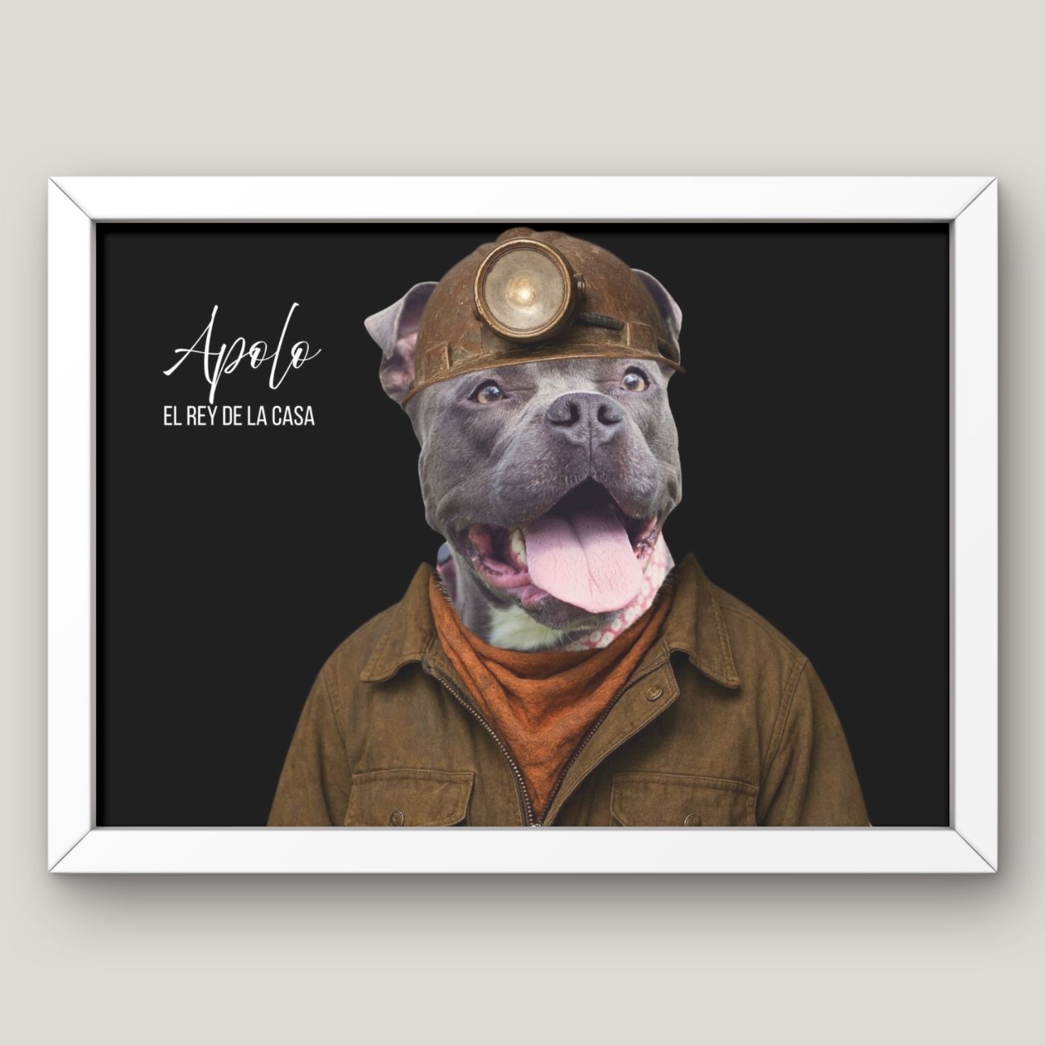 Cuadros Divertidos y Reales de tu Mascota 12